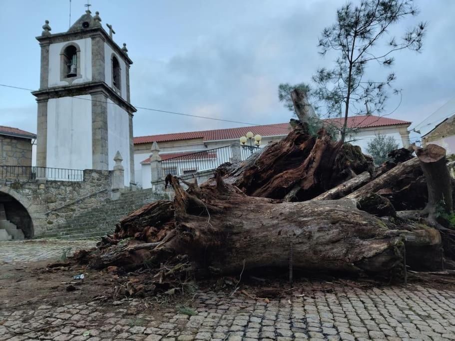 Casa Angulosa Covilhã Dış mekan fotoğraf
